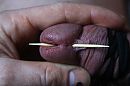 cock, photo 4000x2666, 0 comments, 1 votes