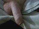 cum and get it girls, photo 320x240, 0 comments, 0 votes
