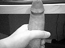 my cock, photo 800x600, 0 comments, 1 votes