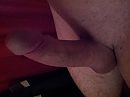 Cock, photo 3264x2448, 0 comments, 2 votes