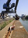 Nazli Amcik on the rail tracks, photo 1350x1800, 0 comments, 4 votes